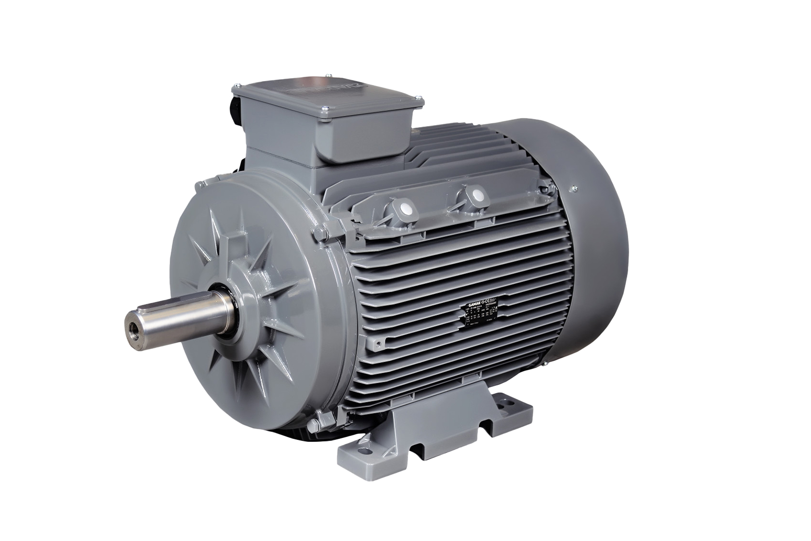 30 kW 1500 Devir Elektrik Motoru B3 IE3