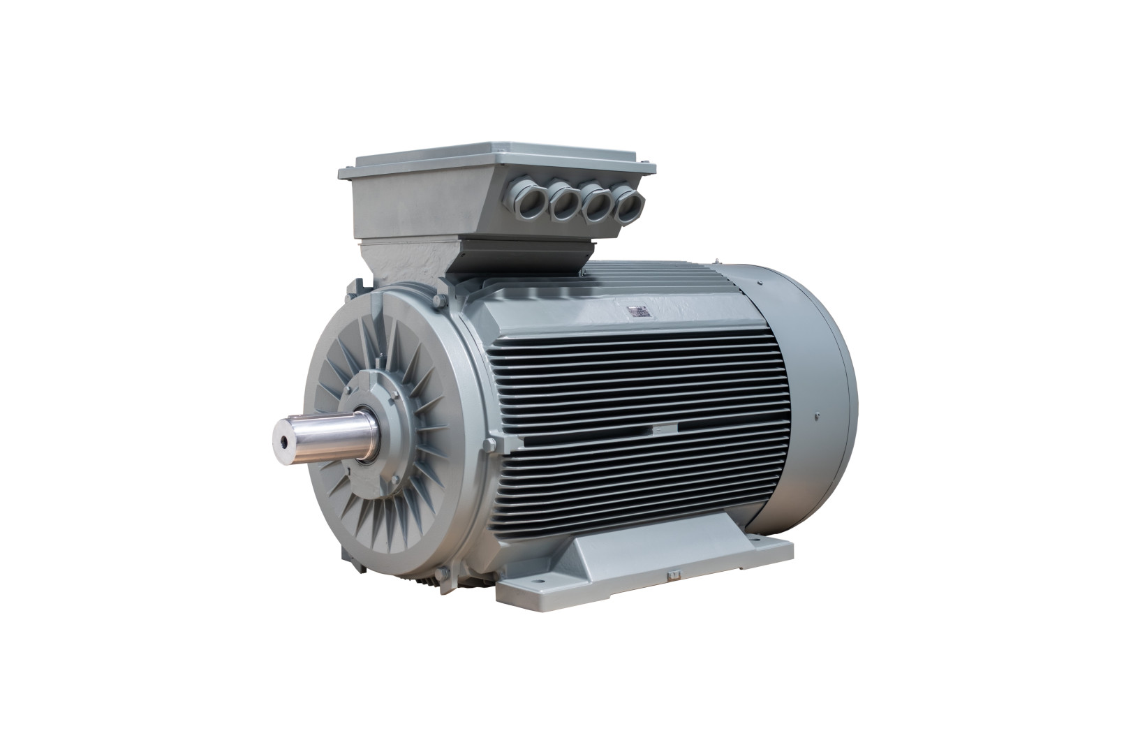 132 kW 1500 Devir Elektrik Motoru B3 IE4
